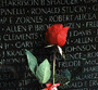 A ROSE AT THE WALL